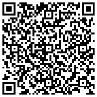 Elastic 中国开发者大会 2019