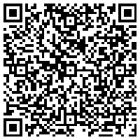 今日头条冬日森林