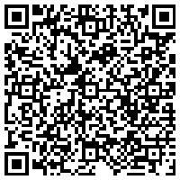 今日头条冬日森林