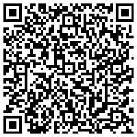 今日头条冬日森林